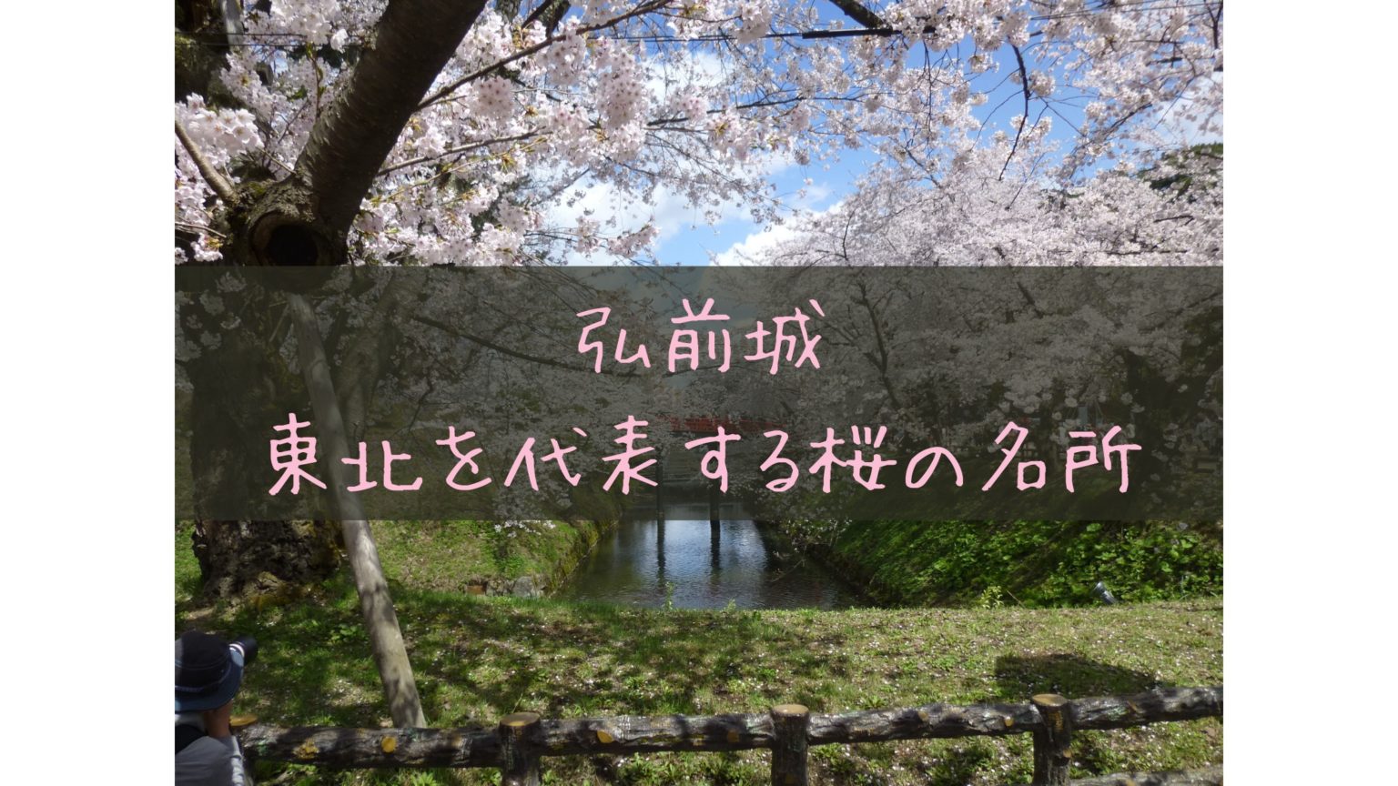 東北を代表する桜の名所、弘前城の見どころやアクセスをご紹介！
