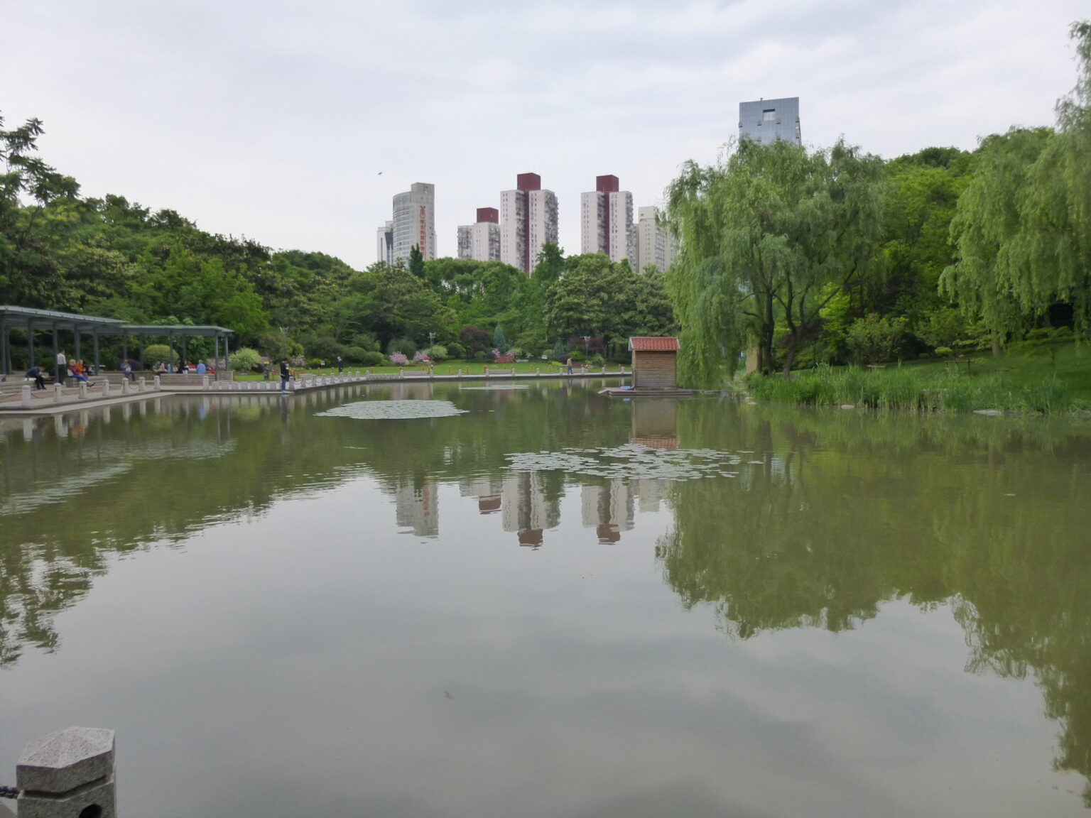 会社を辞めたので上海に一人で1週間行ってきた話 4日目[上海の日常風景] 舞鶴さんが旅に出る理由はだいたい100個くらいあって